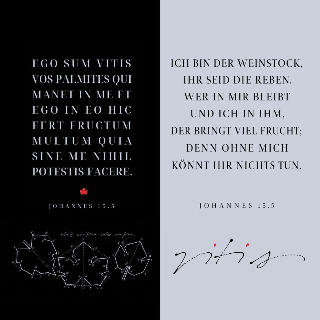 Christliche Klappkarte Johannes 15,5 – Ich bin der Weinstock – DIN lang mit Umschlag, Kalligrafie