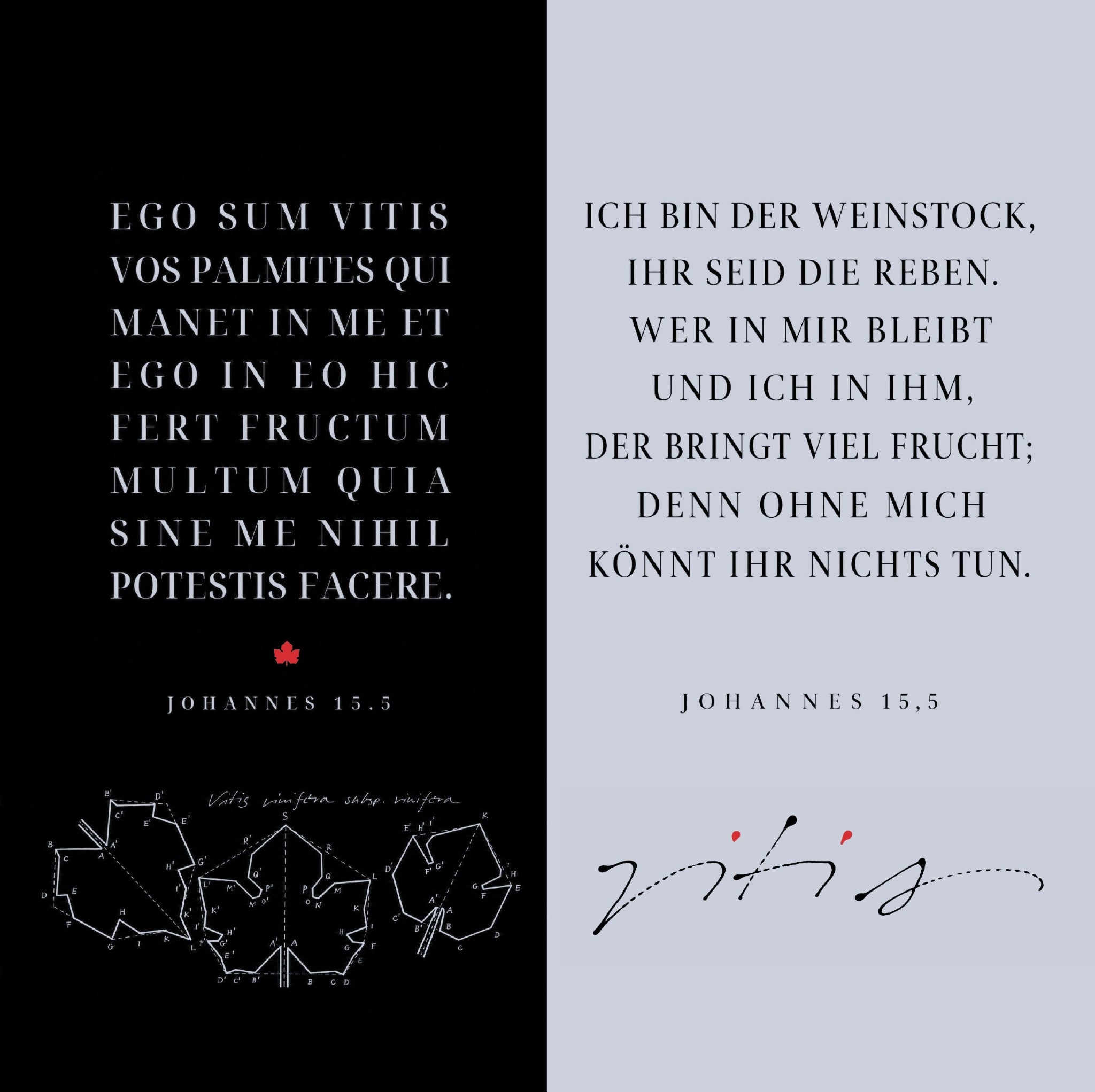 Christliche Klappkarte Johannes 15,5 – Ich bin der Weinstock – DIN lang mit Umschlag, Kalligrafie