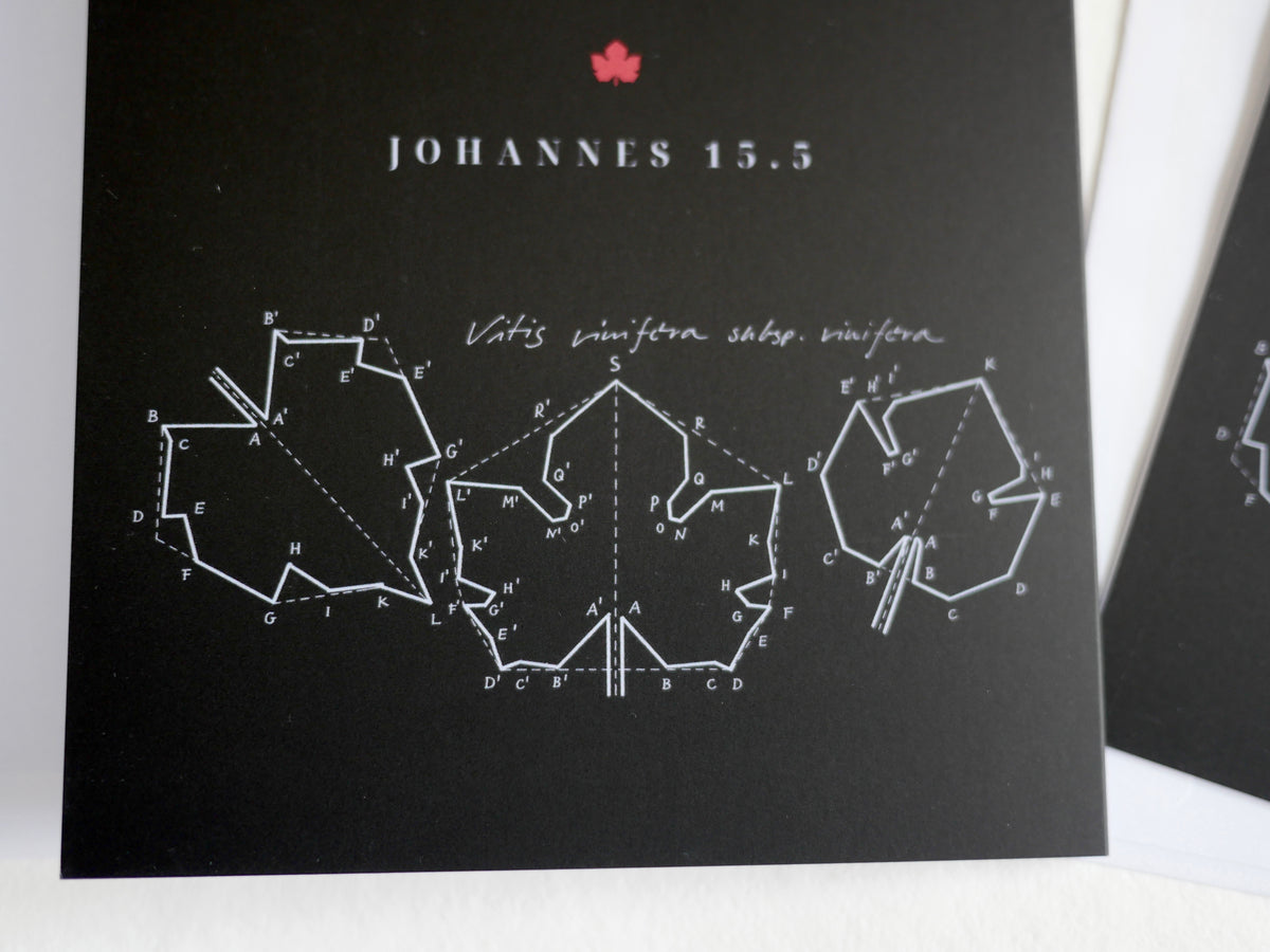 Christliche Klappkarte Johannes 15,5 – Ich bin der Weinstock – DIN lang mit Umschlag, Kalligrafie