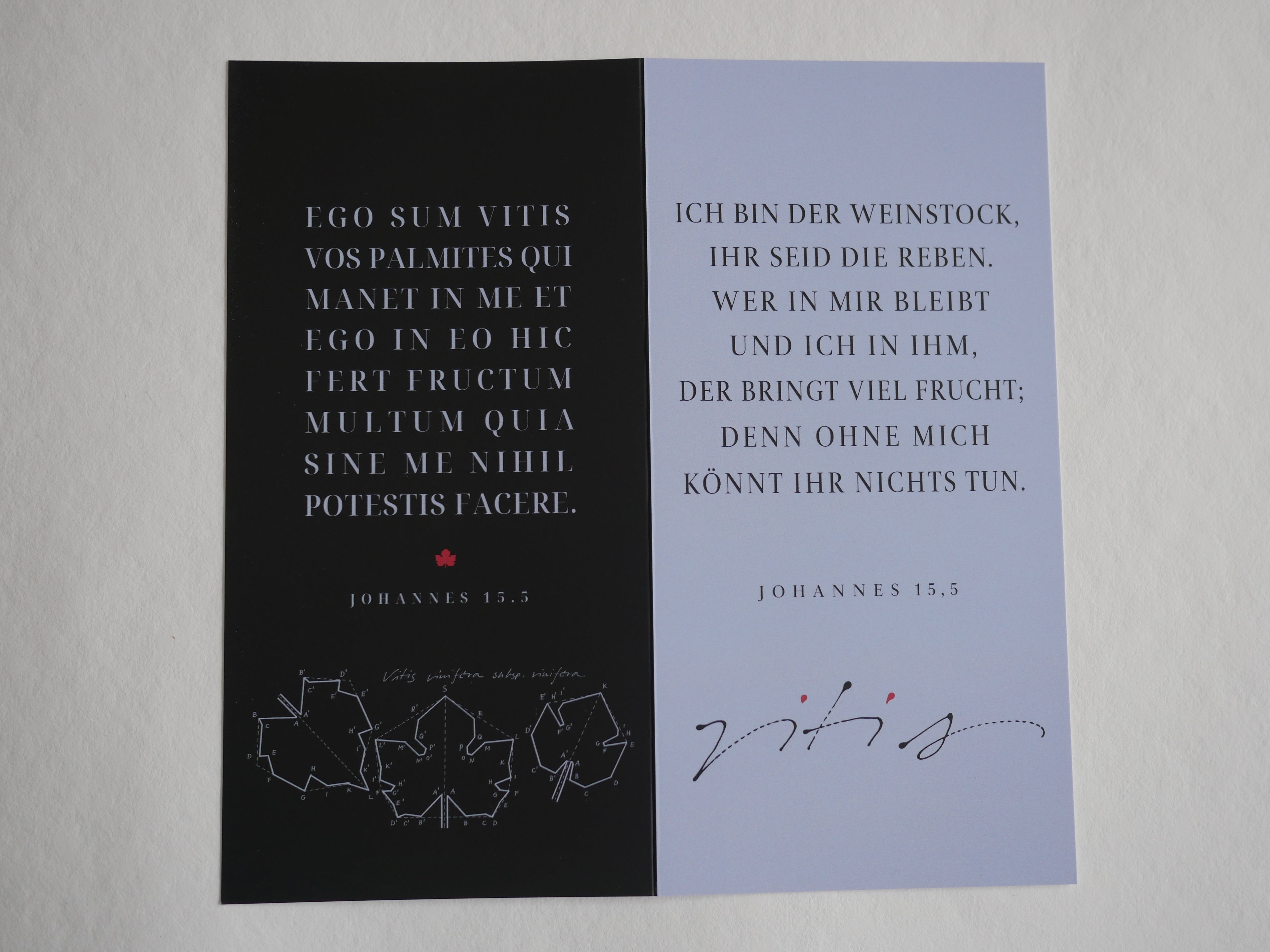Christliche Klappkarte Johannes 15,5 – Ich bin der Weinstock – DIN lang mit Umschlag, Kalligrafie